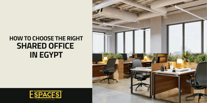 How to Choose the Right Shared Office in Egypt